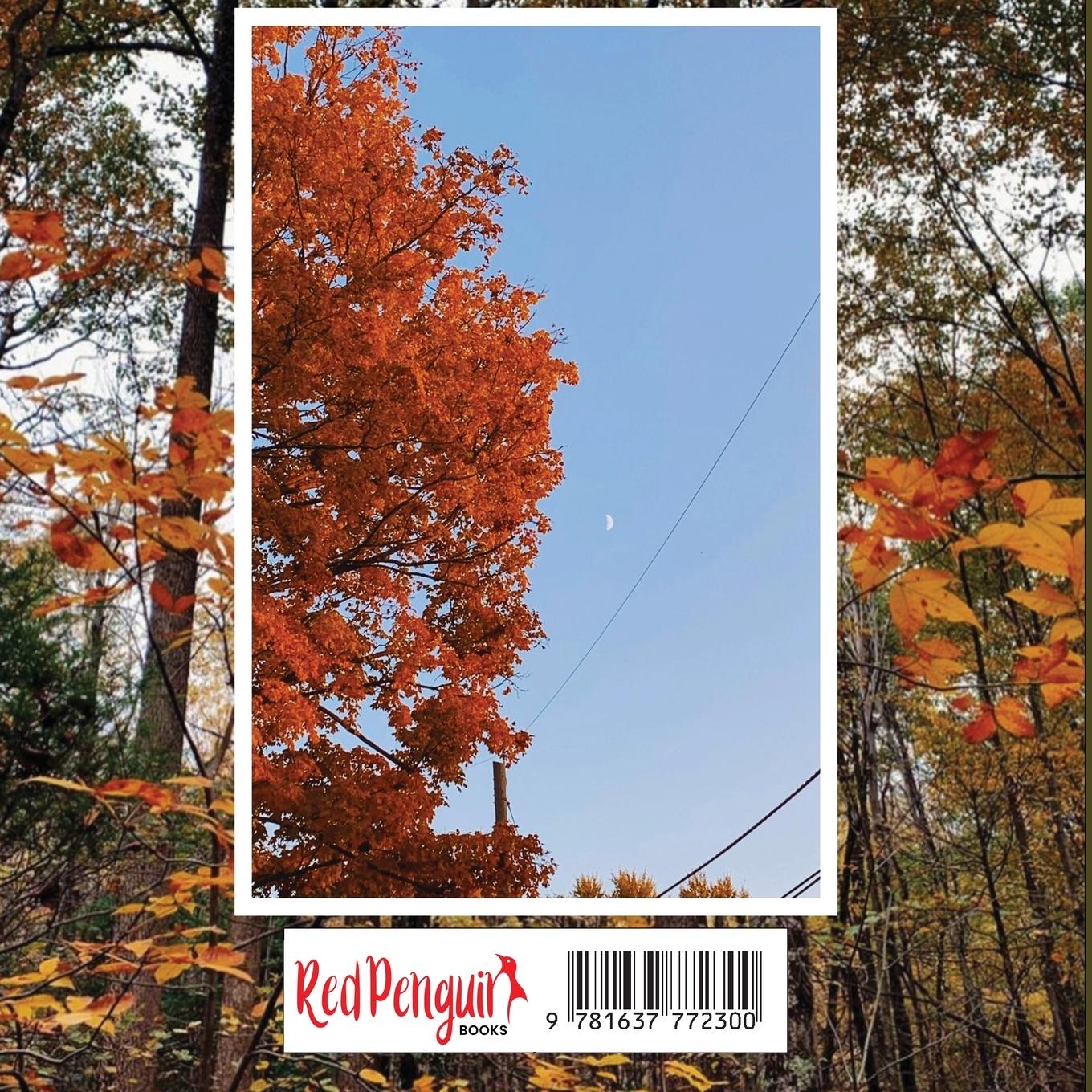 Rückseitencover She Rises