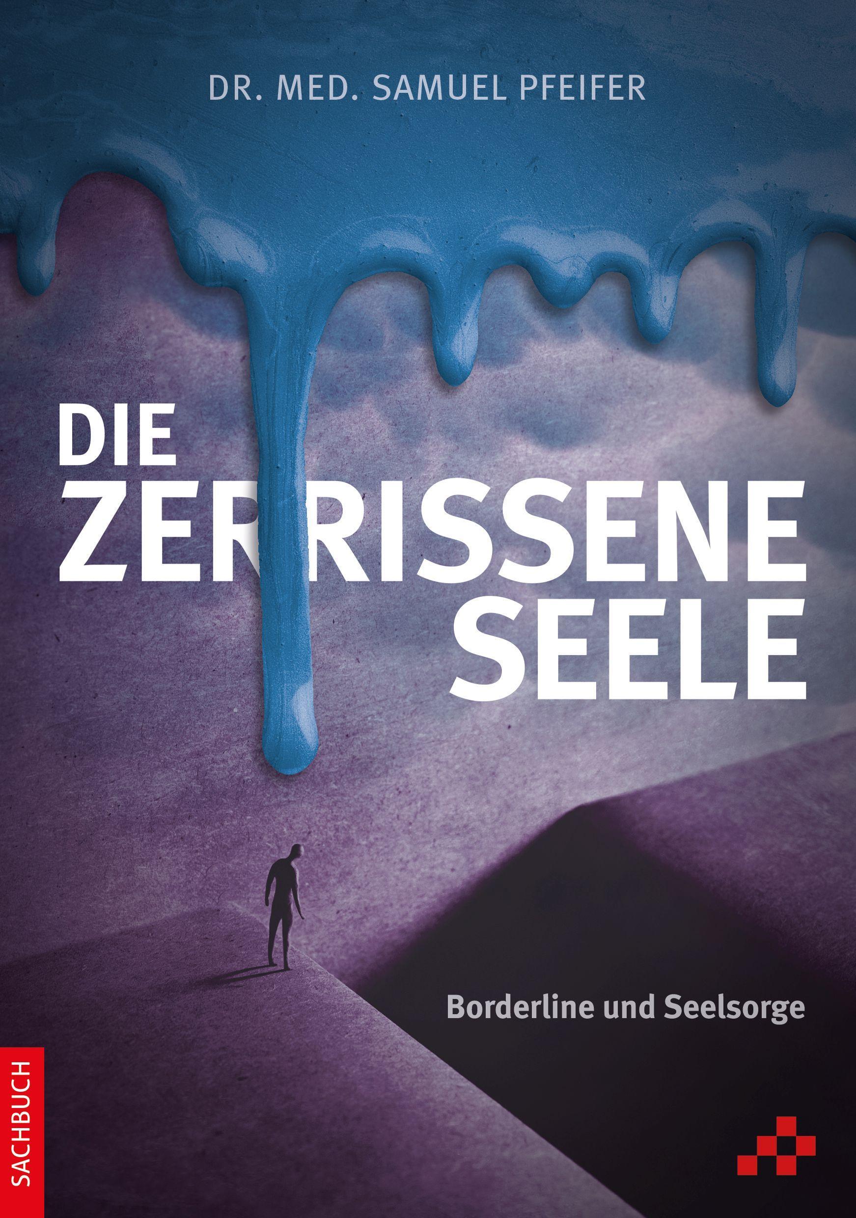 Vorderes Coverbild Die zerrissene Seele