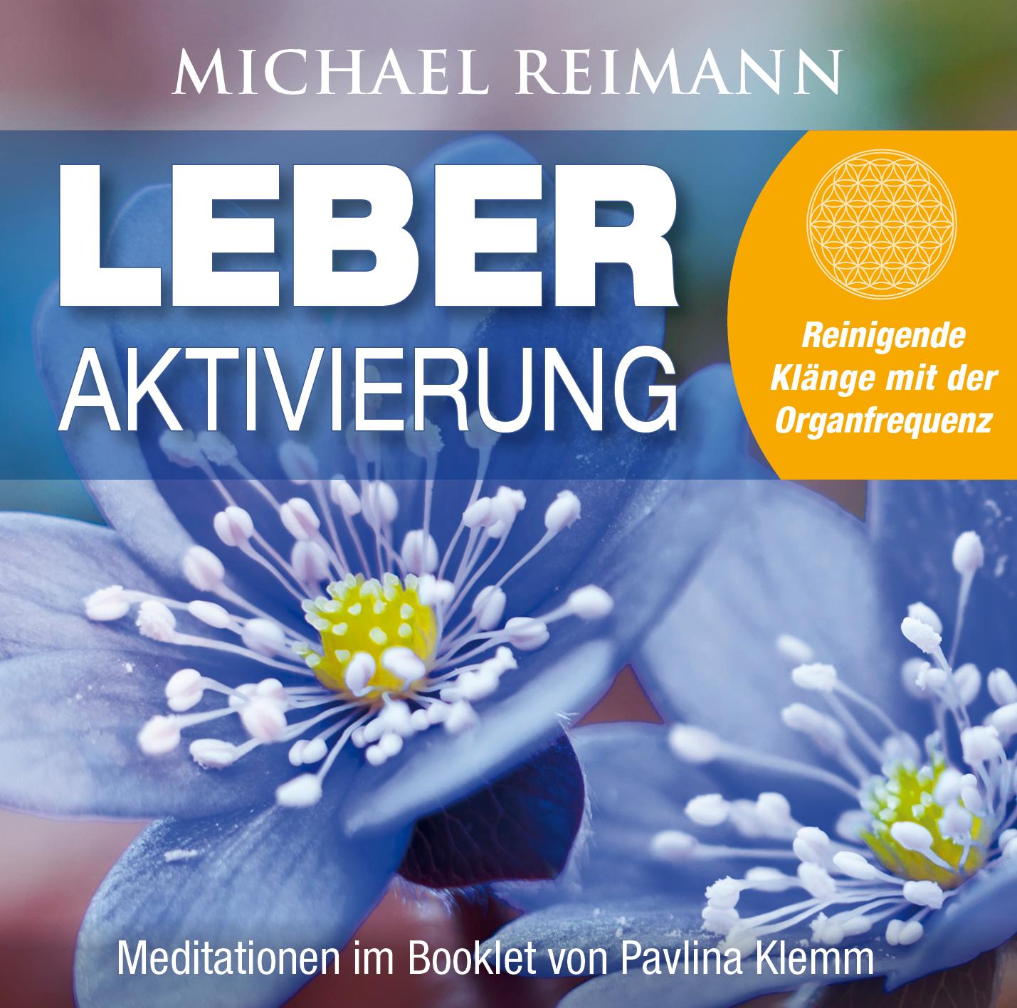 Vorderes Coverbild LEBER AKTIVIERUNG (mit Solfeggio-Frequenz 528 Hertz)