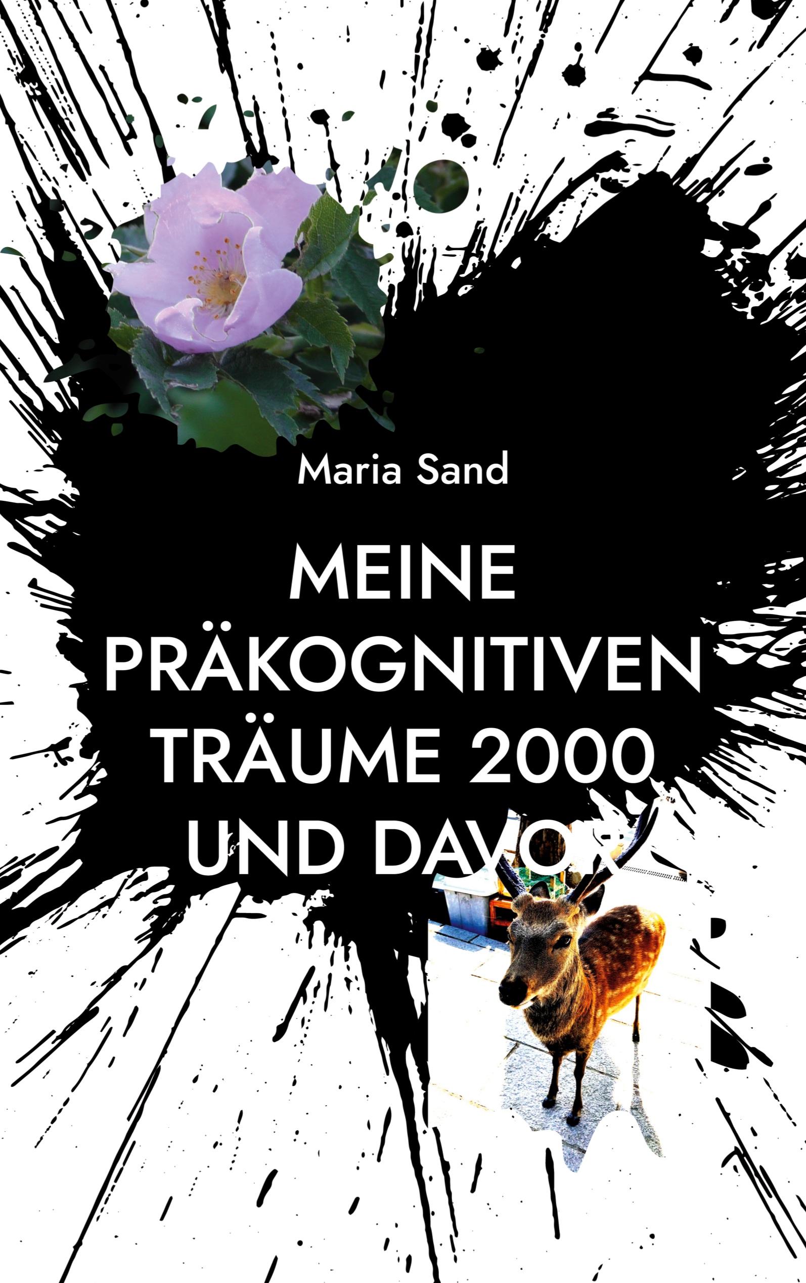 Vorderes Coverbild Meine präkognitiven Träume 2000 und davor