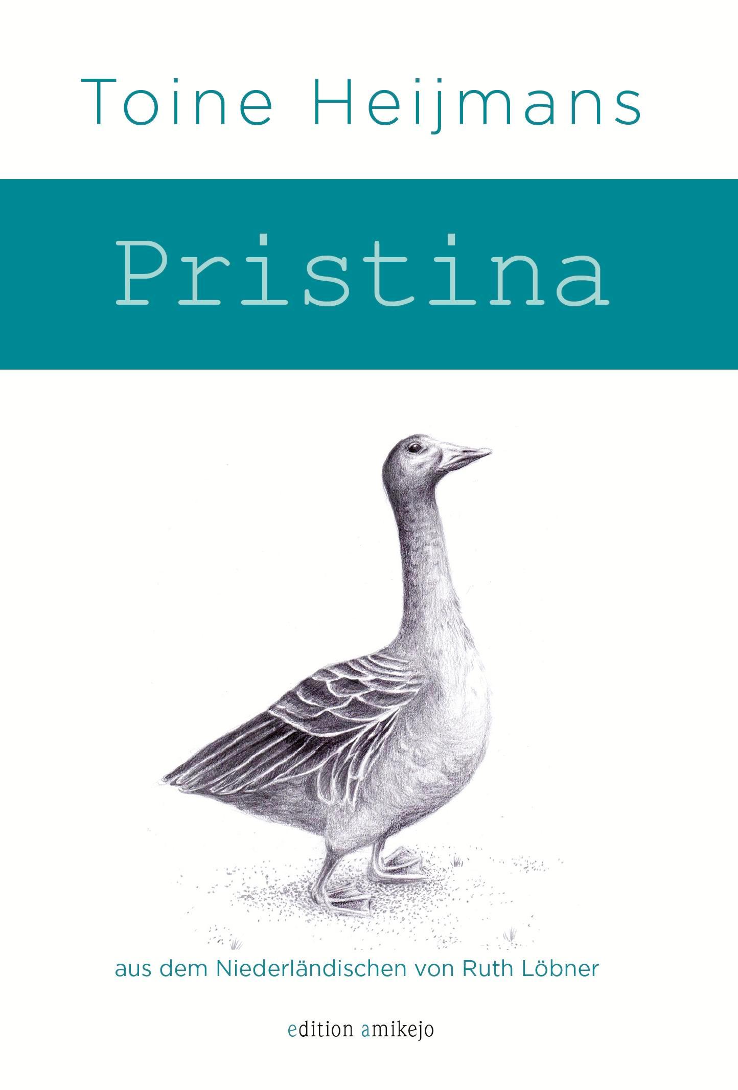 Vorderes Coverbild Pristina