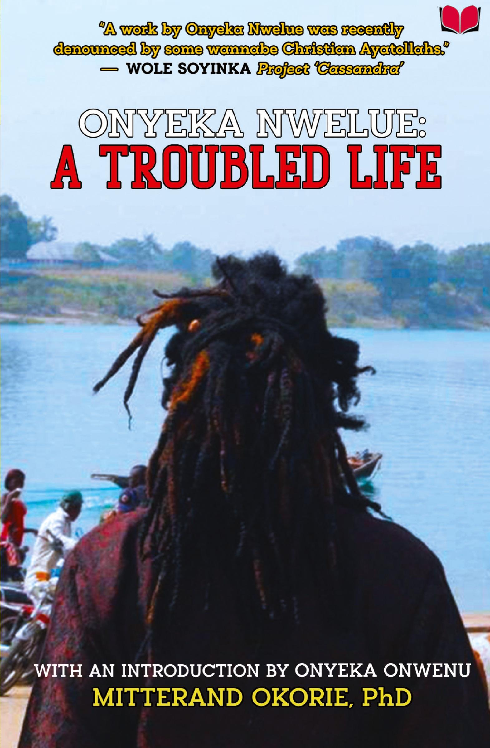 Vorderes Coverbild Onyeka Nwelue