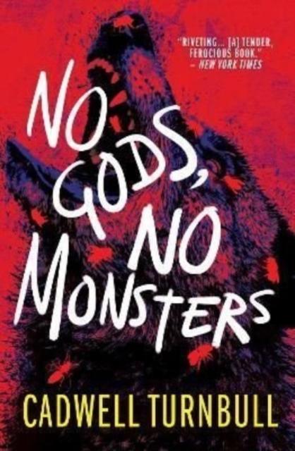 Vorderes Coverbild No Gods, No Monsters