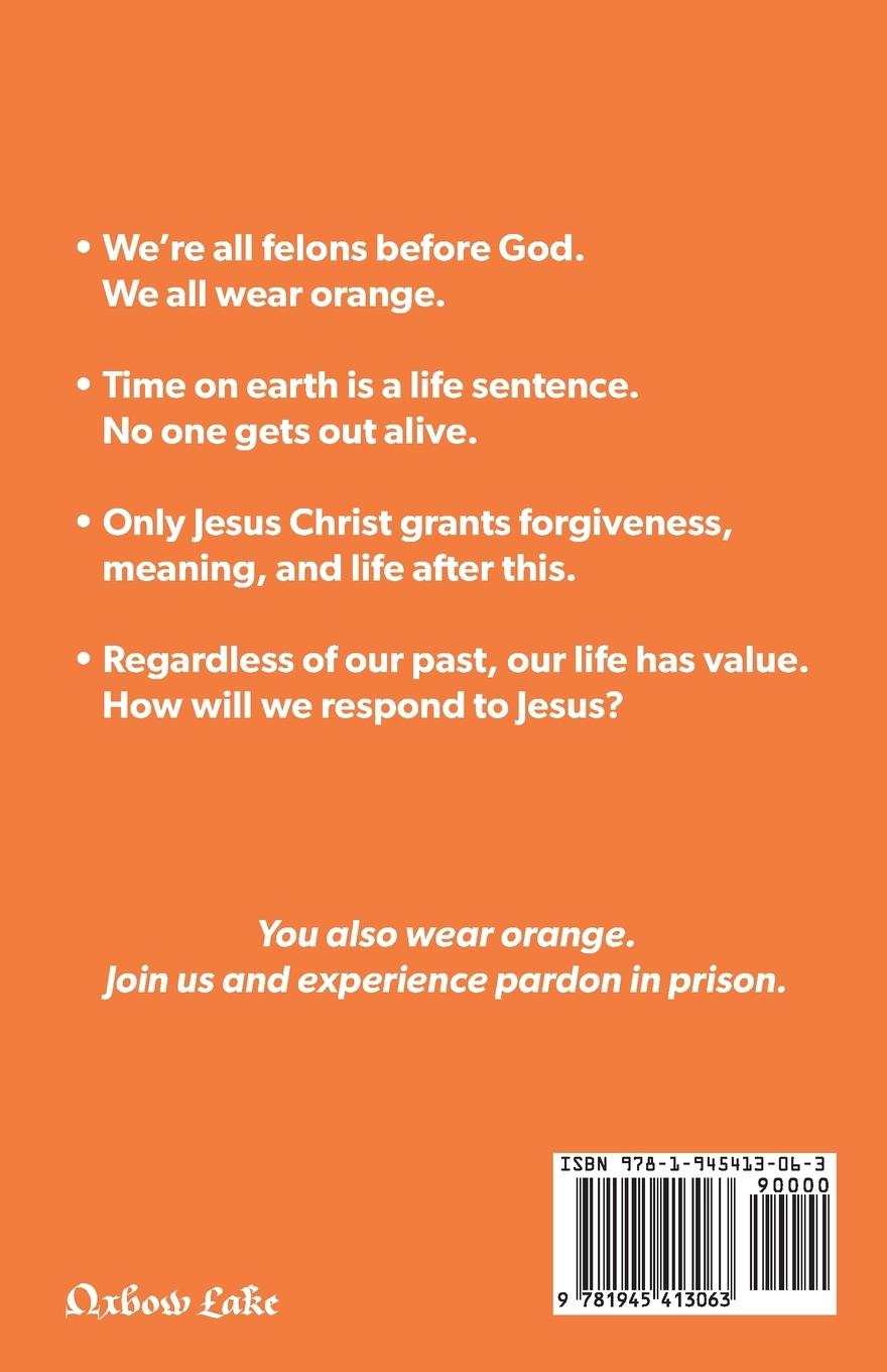 Rückseitencover We All Wear Orange