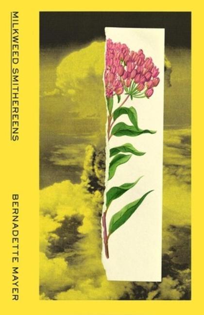 Vorderes Coverbild Milkweed Smithereens
