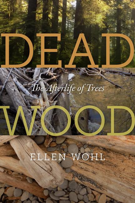 Vorderes Coverbild Dead Wood: The Afterlife of Trees