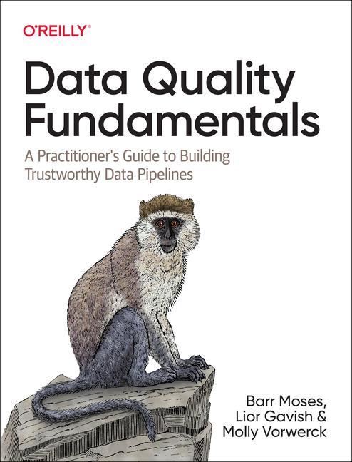 Vorderes Coverbild Data Quality Fundamentals