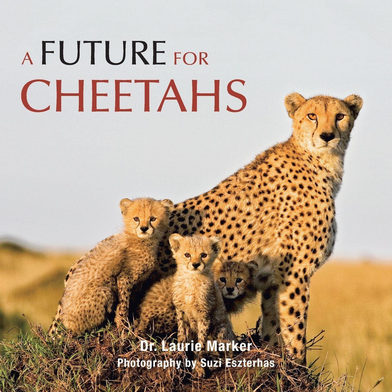 Vorderes Coverbild A Future for Cheetahs