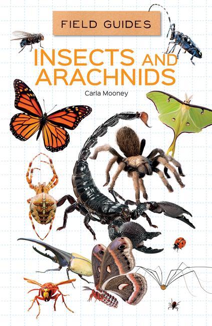 Vorderes Coverbild Insects and Arachnids