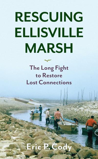 Vorderes Coverbild Rescuing Ellisville Marsh