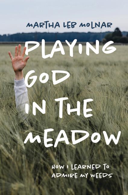 Vorderes Coverbild Playing God in the Meadow