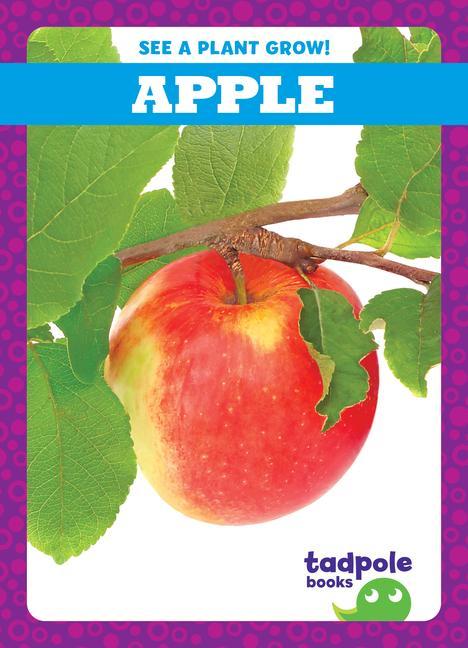 Vorderes Coverbild Apple