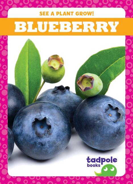 Vorderes Coverbild Blueberry