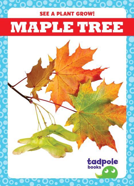 Vorderes Coverbild Maple Tree