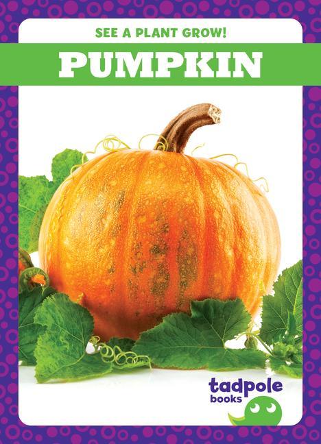 Vorderes Coverbild Pumpkin