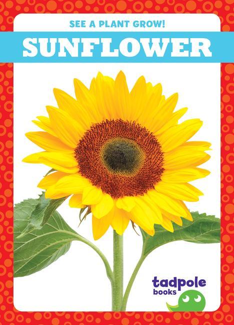 Vorderes Coverbild Sunflower