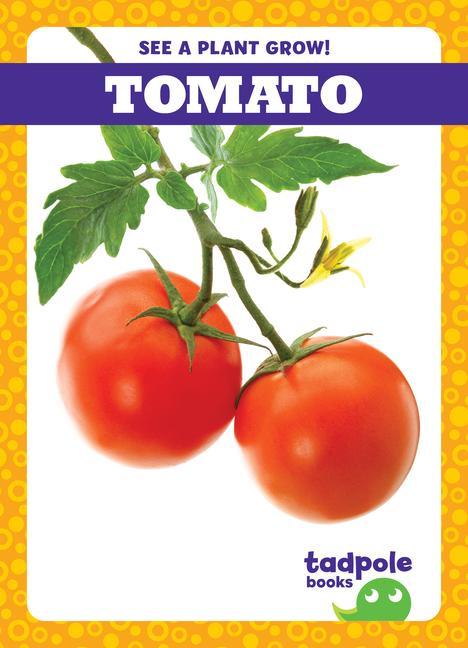 Vorderes Coverbild Tomato