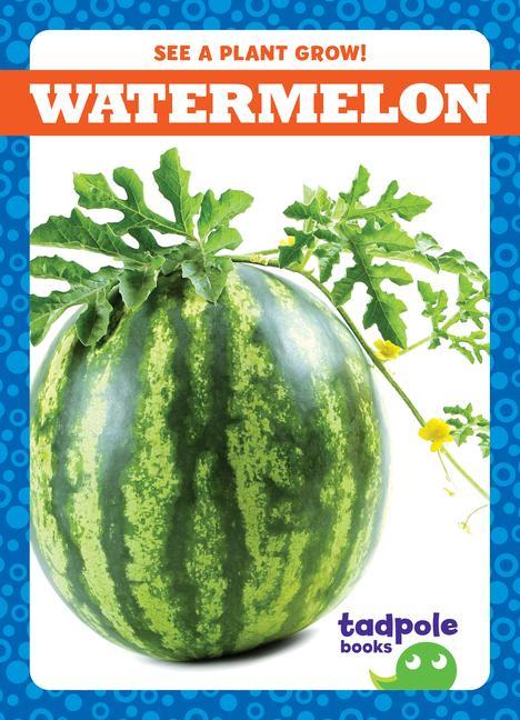Vorderes Coverbild Watermelon