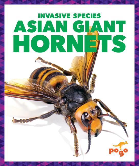 Vorderes Coverbild Asian Giant Hornets