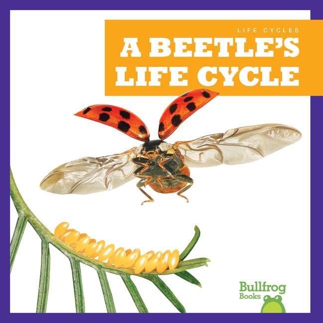 Vorderes Coverbild A Beetle's Life Cycle