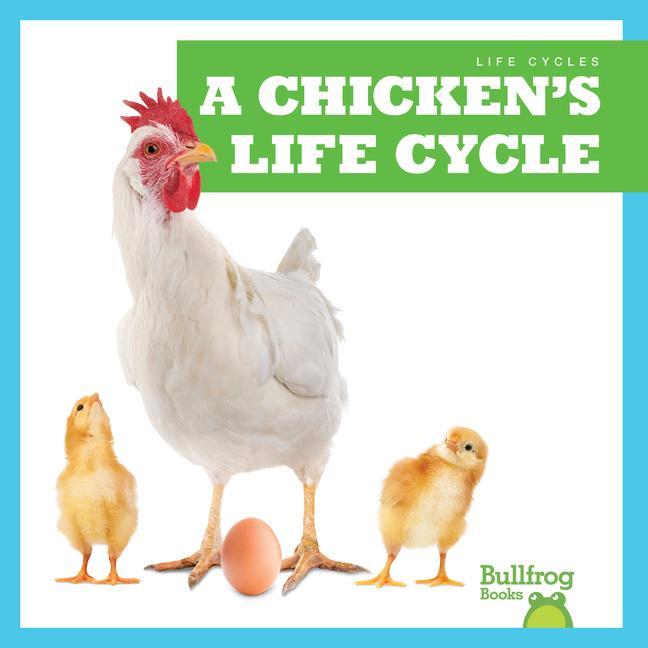 Vorderes Coverbild A Chicken's Life Cycle