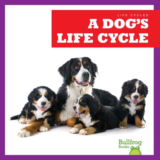 Vorderes Coverbild A Dog's Life Cycle