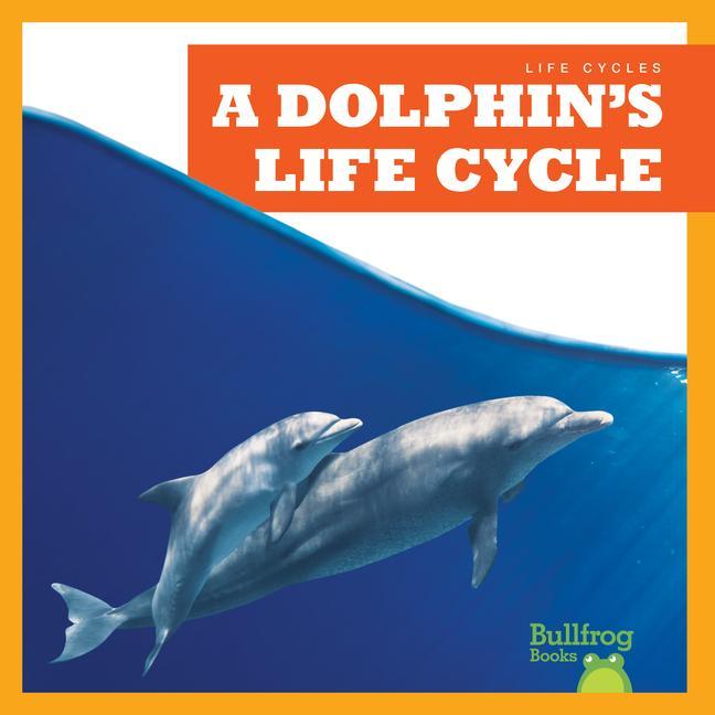 Vorderes Coverbild A Dolphin's Life Cycle