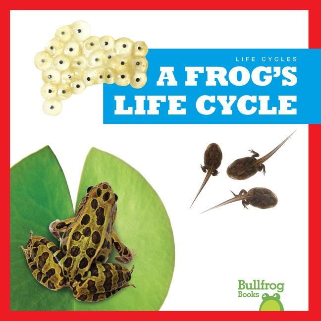 Vorderes Coverbild A Frog's Life Cycle