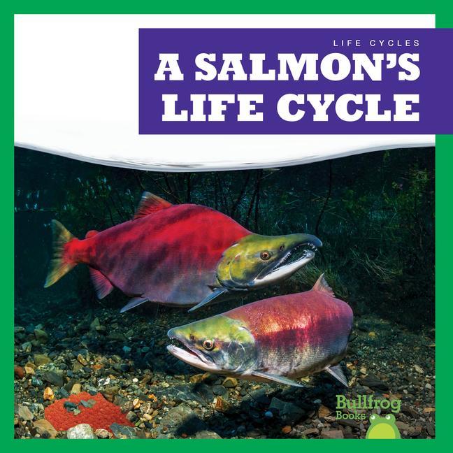 Vorderes Coverbild A Salmon's Life Cycle