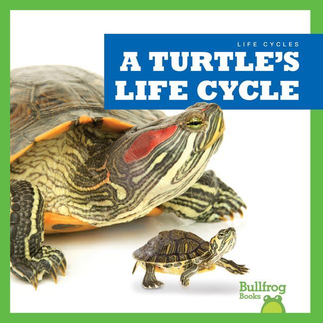 Vorderes Coverbild A Turtle's Life Cycle