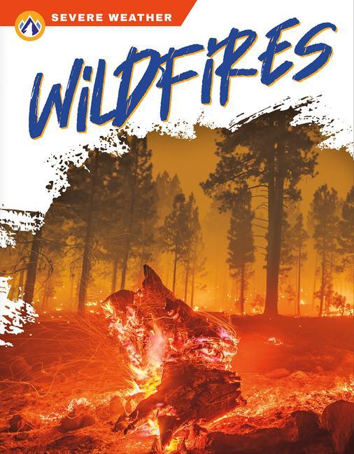 Vorderes Coverbild Wildfires