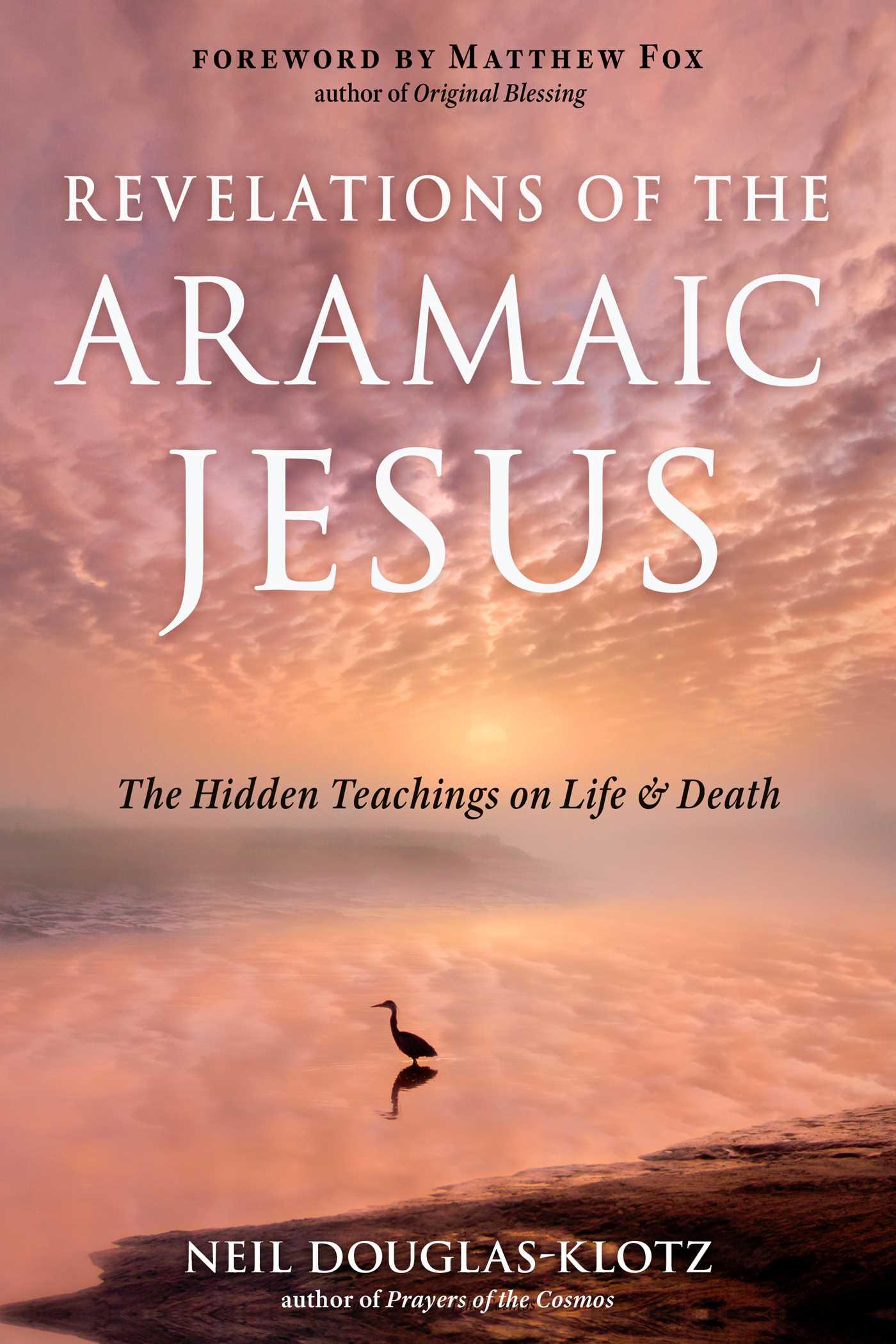 Vorderes Coverbild Revelations of the Aramaic Jesus