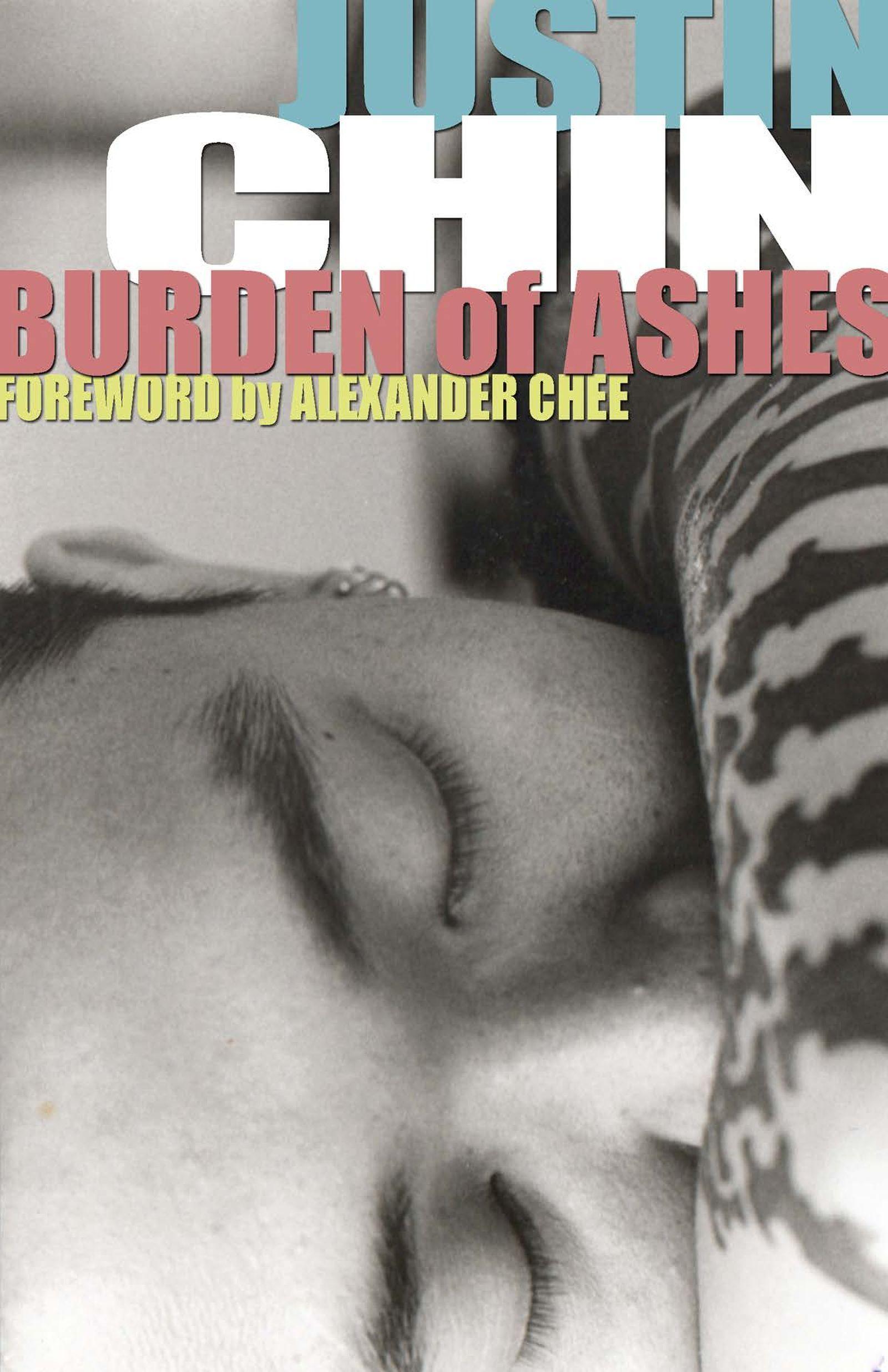 Vorderes Coverbild Burden of Ashes