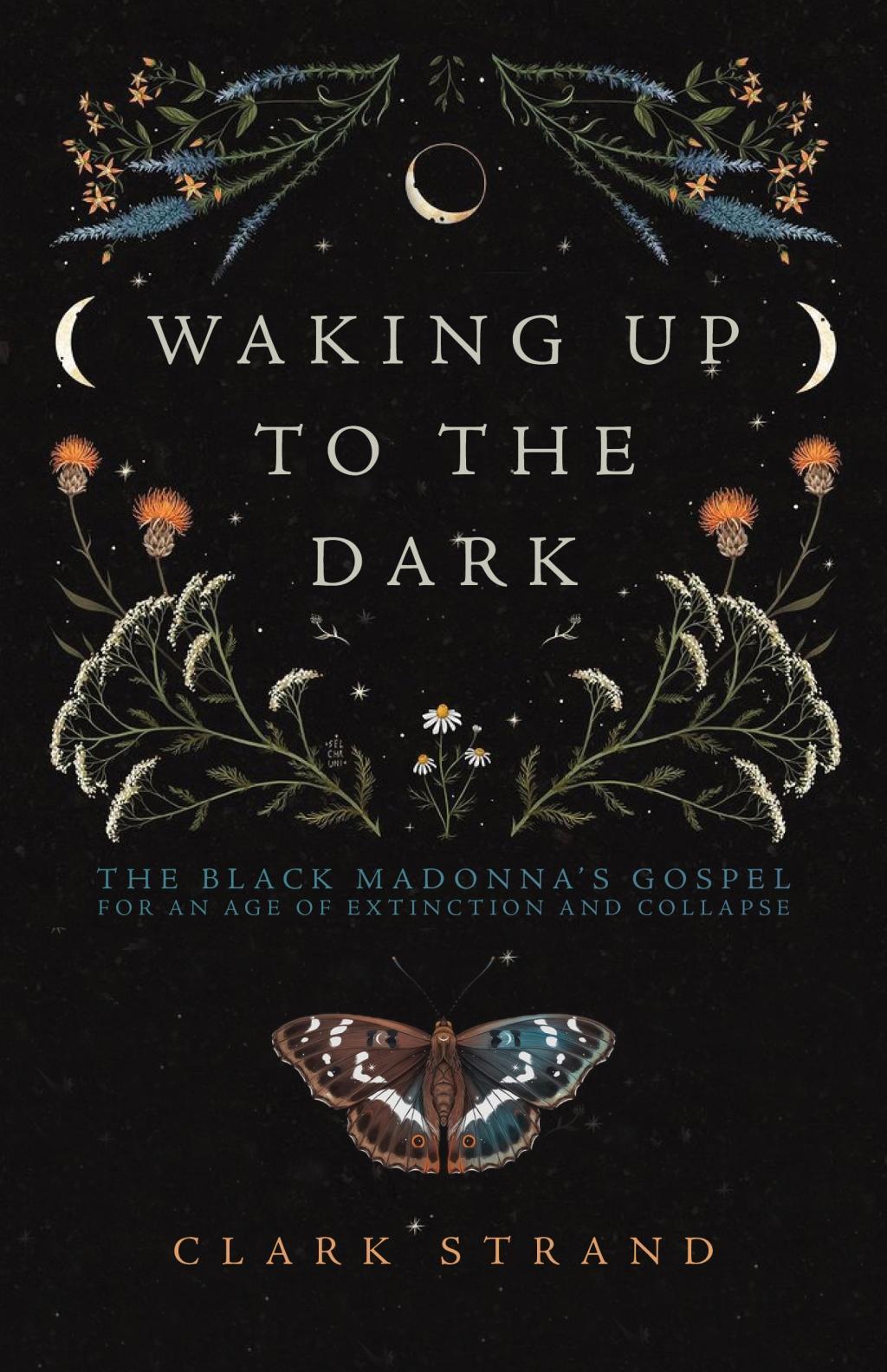 Vorderes Coverbild Waking Up to the Dark