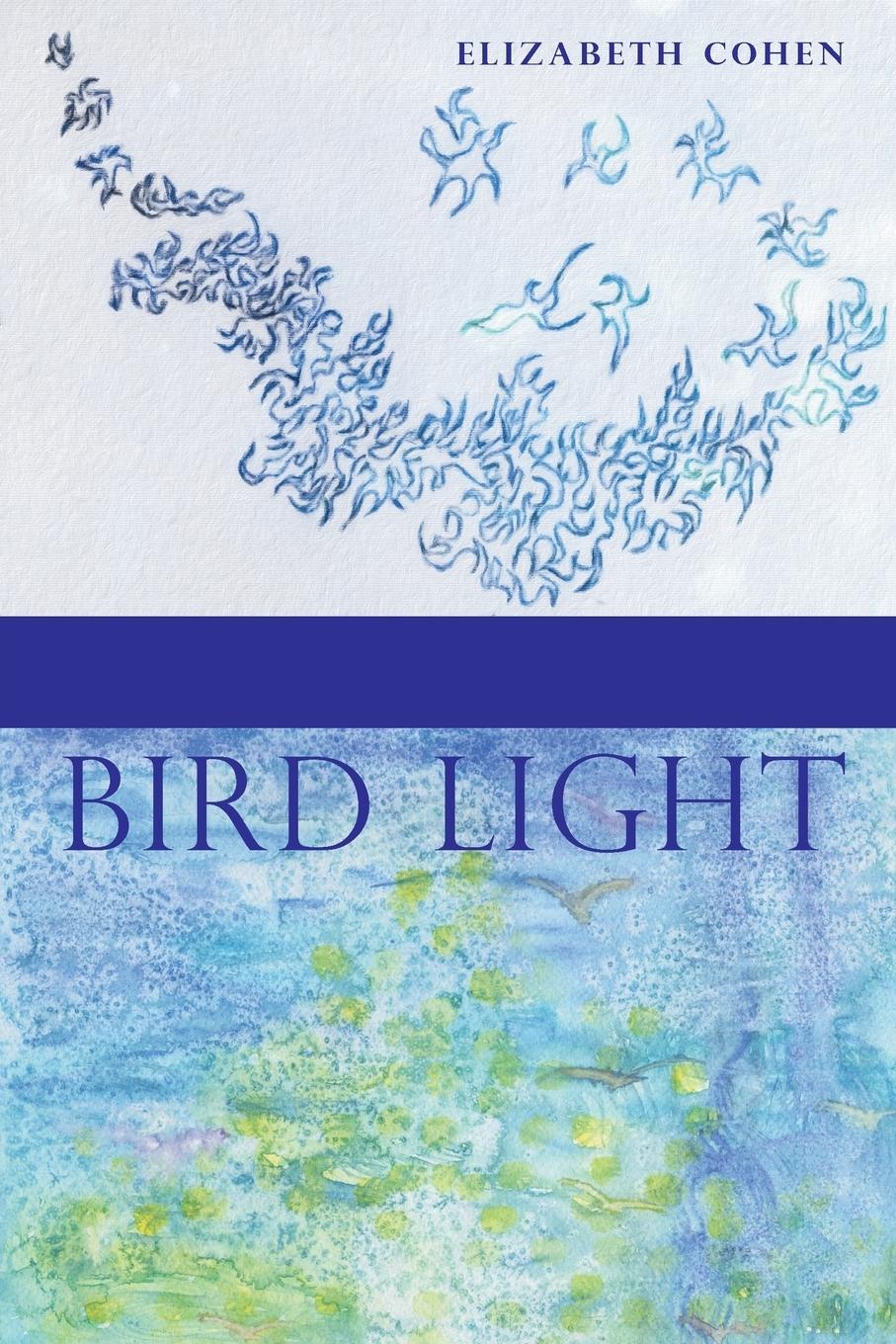 Vorderes Coverbild BIRD LIGHT