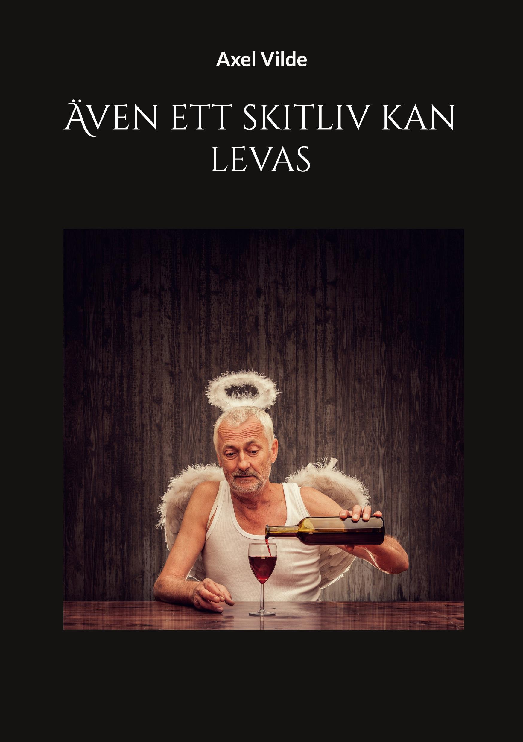 Vorderes Coverbild Även ett skitliv kan levas