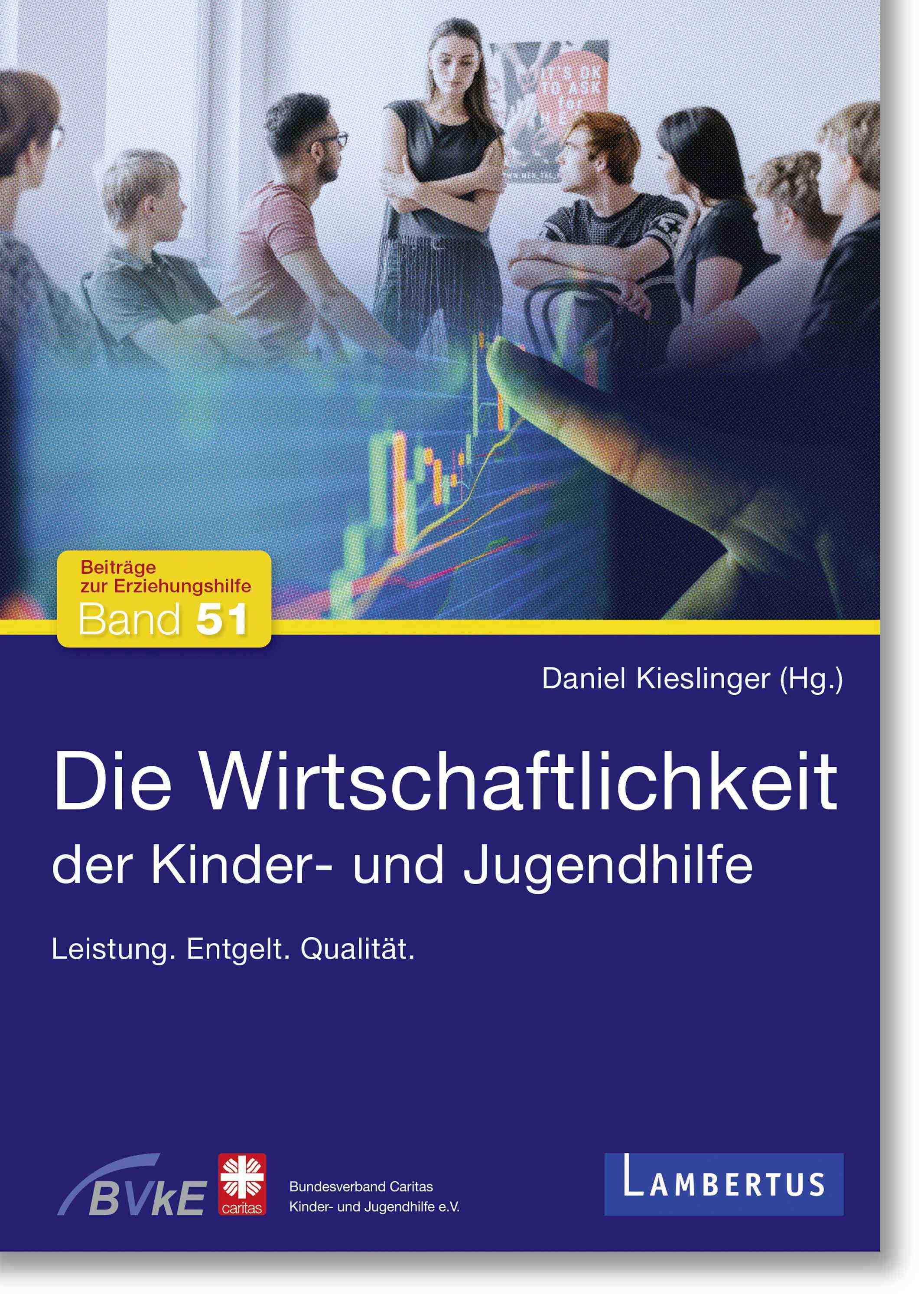 Vorderes Coverbild Die Wirtschaftlichkeit der Kinder- und Jugendhilfe