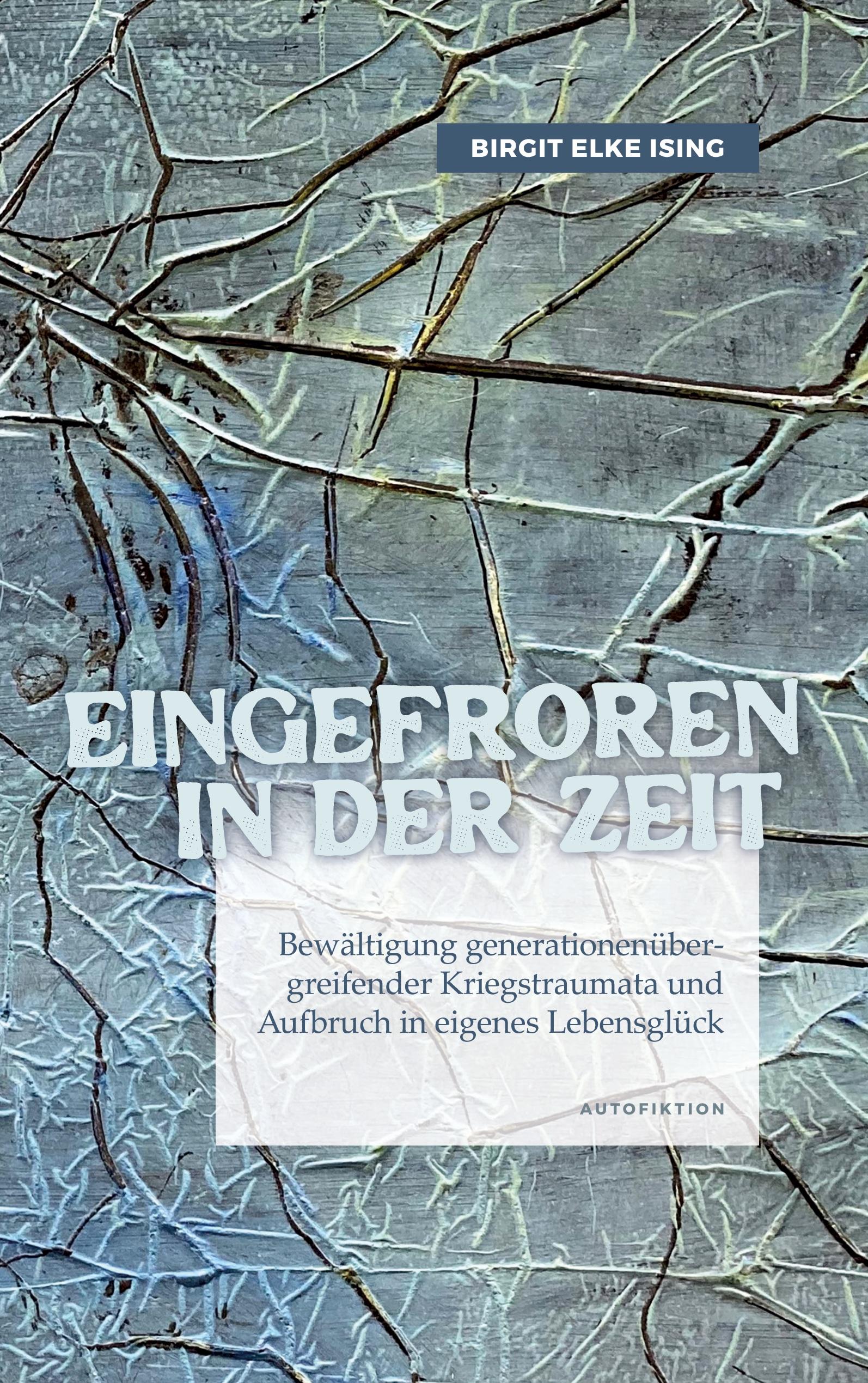 Vorderes Coverbild Eingefroren in der Zeit
