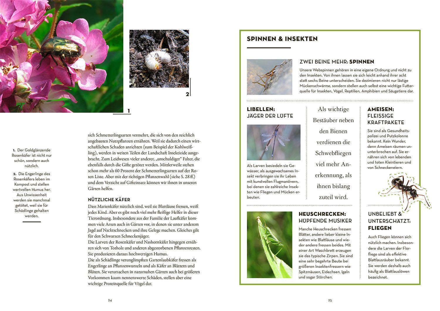 Beispielinhalt (Bild) Tierisch guter Garten!