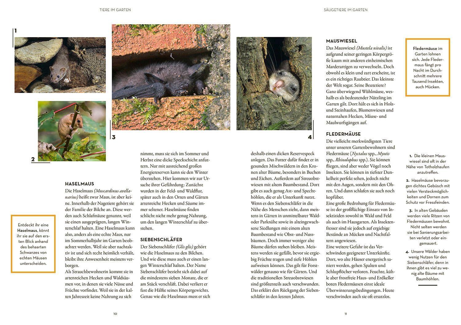 Beispielinhalt (Bild) Tierisch guter Garten!