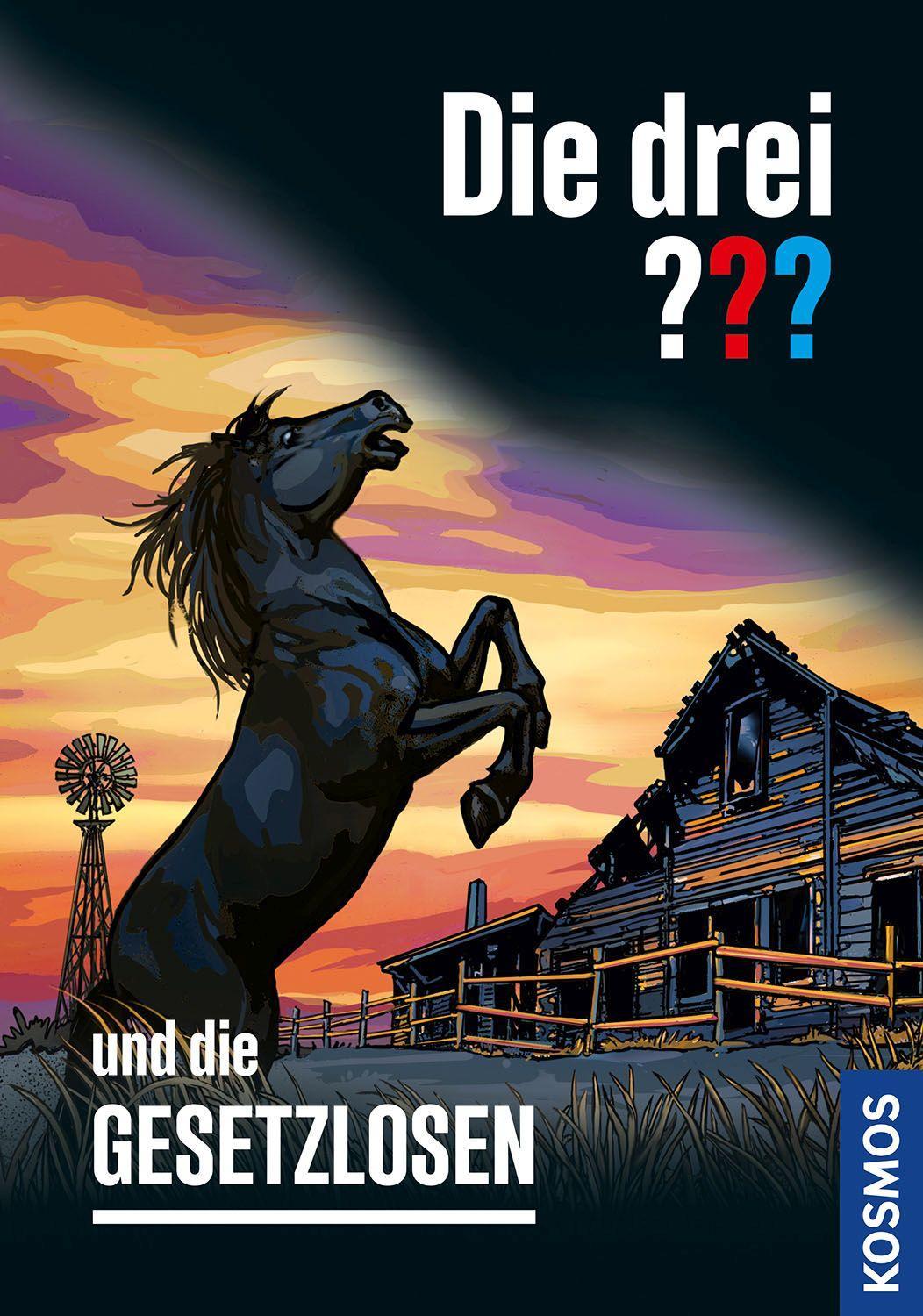 Vorderes Coverbild Die drei ??? und die Gesetzlosen