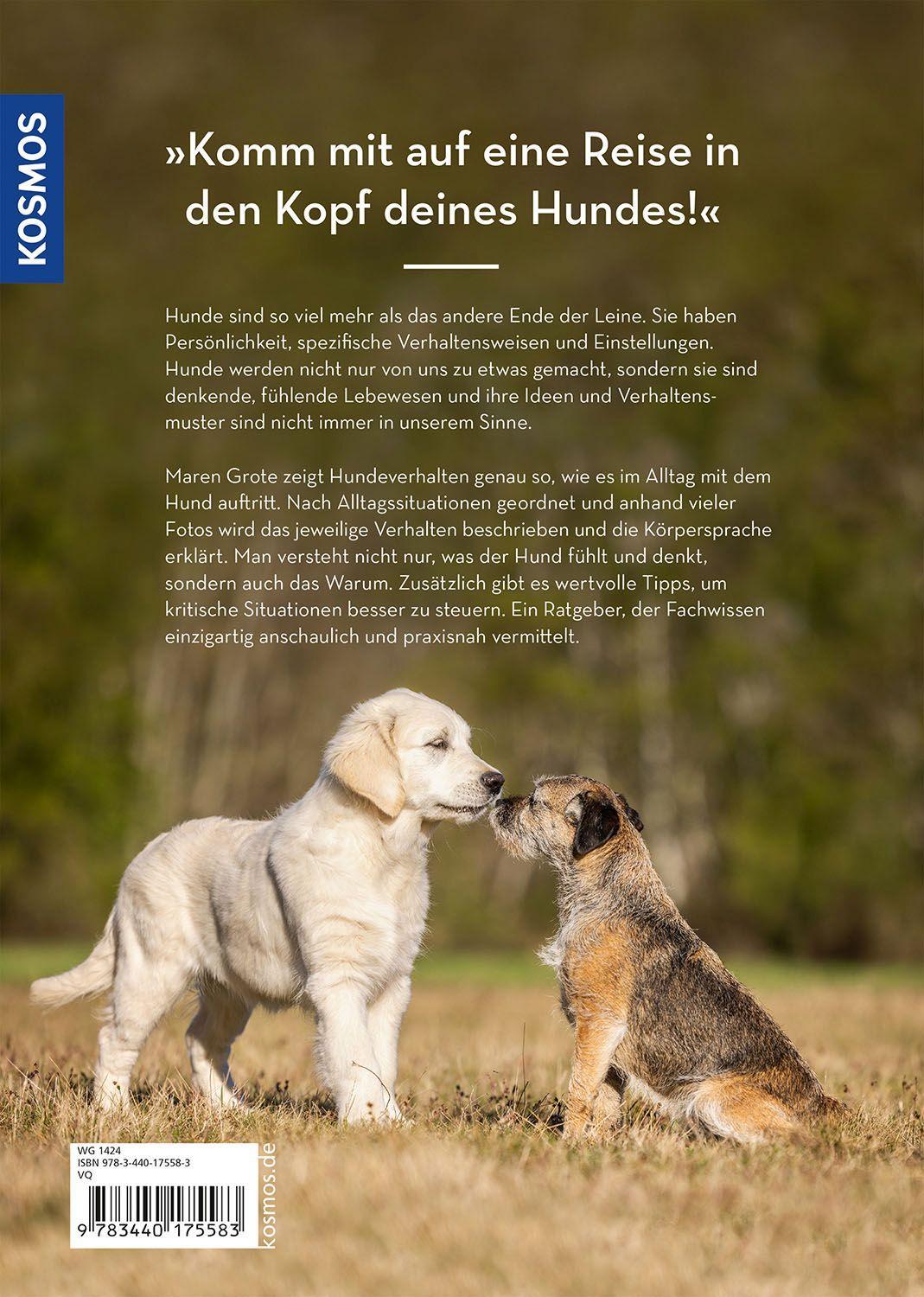 Beispielinhalt (Bild) Hunde lesen lernen