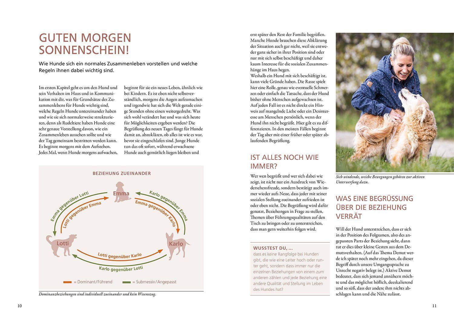 Beispielinhalt (Bild) Hunde lesen lernen