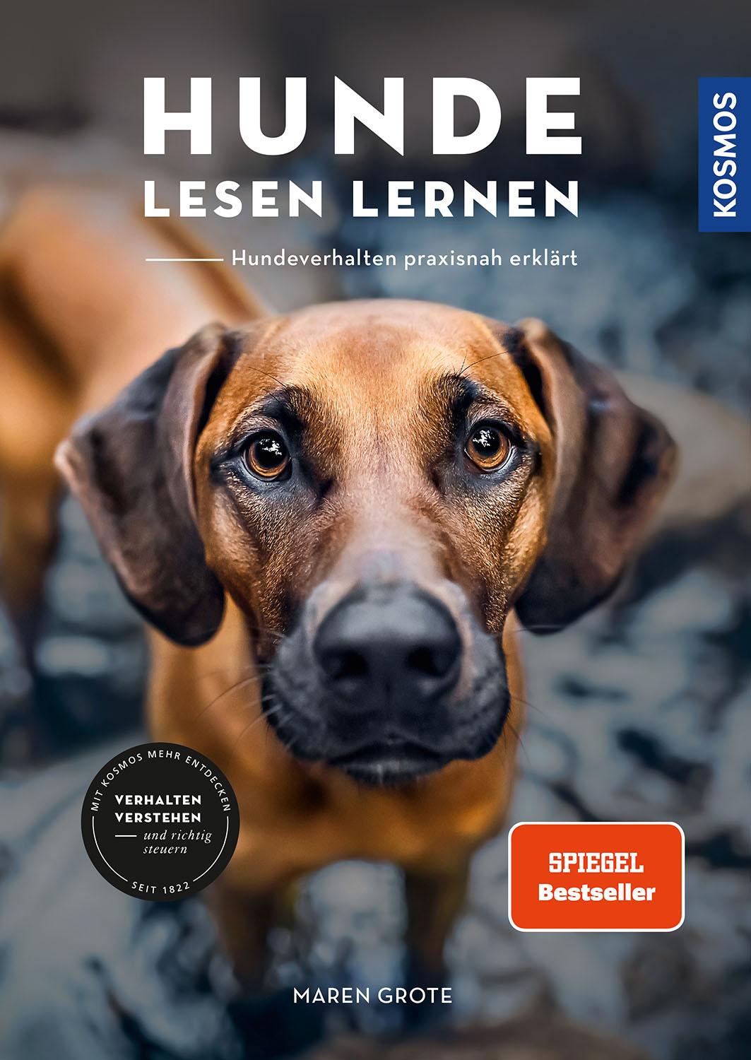 Vorderes Coverbild Hunde lesen lernen