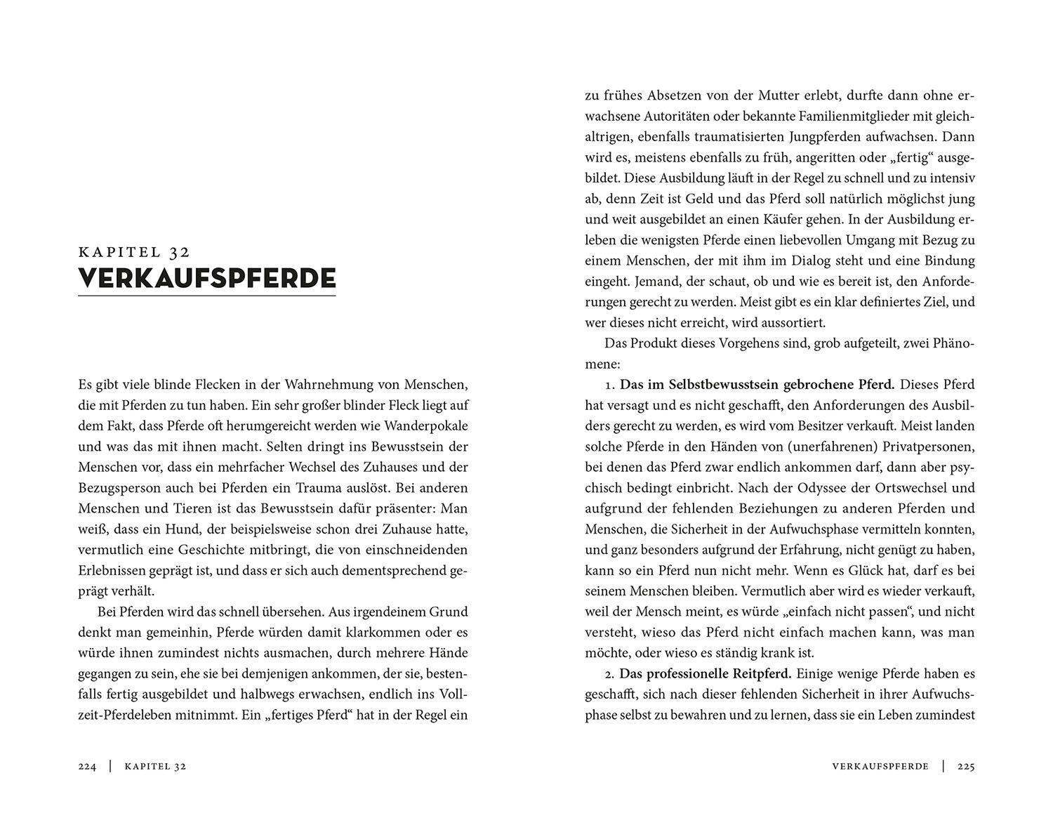 Beispielinhalt (Bild) Wahre Freundschaft mit Pferden