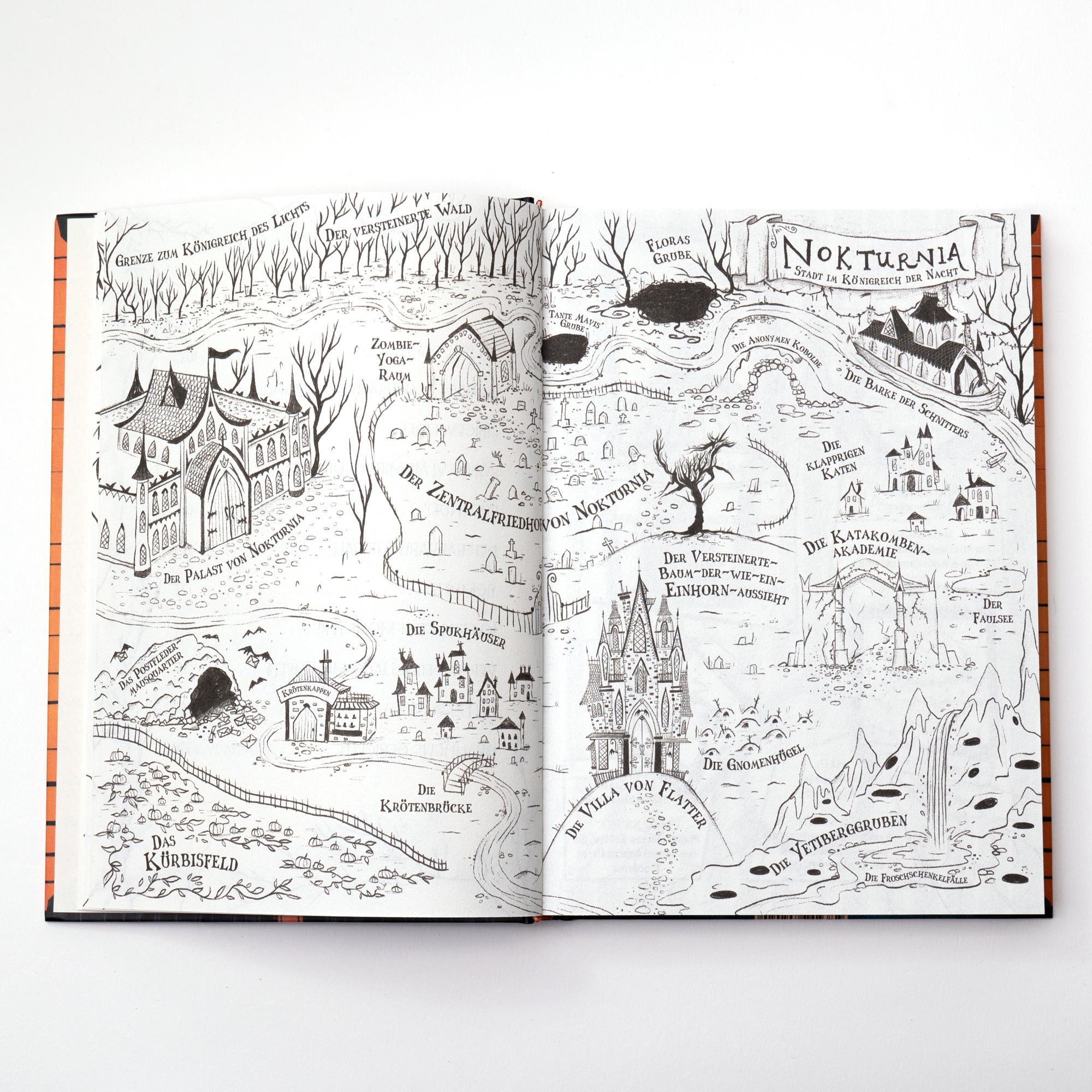 Beispielinhalt (Bild) Amalia von Flatter. Vampire tanzen nicht mit Feen (Band 1)