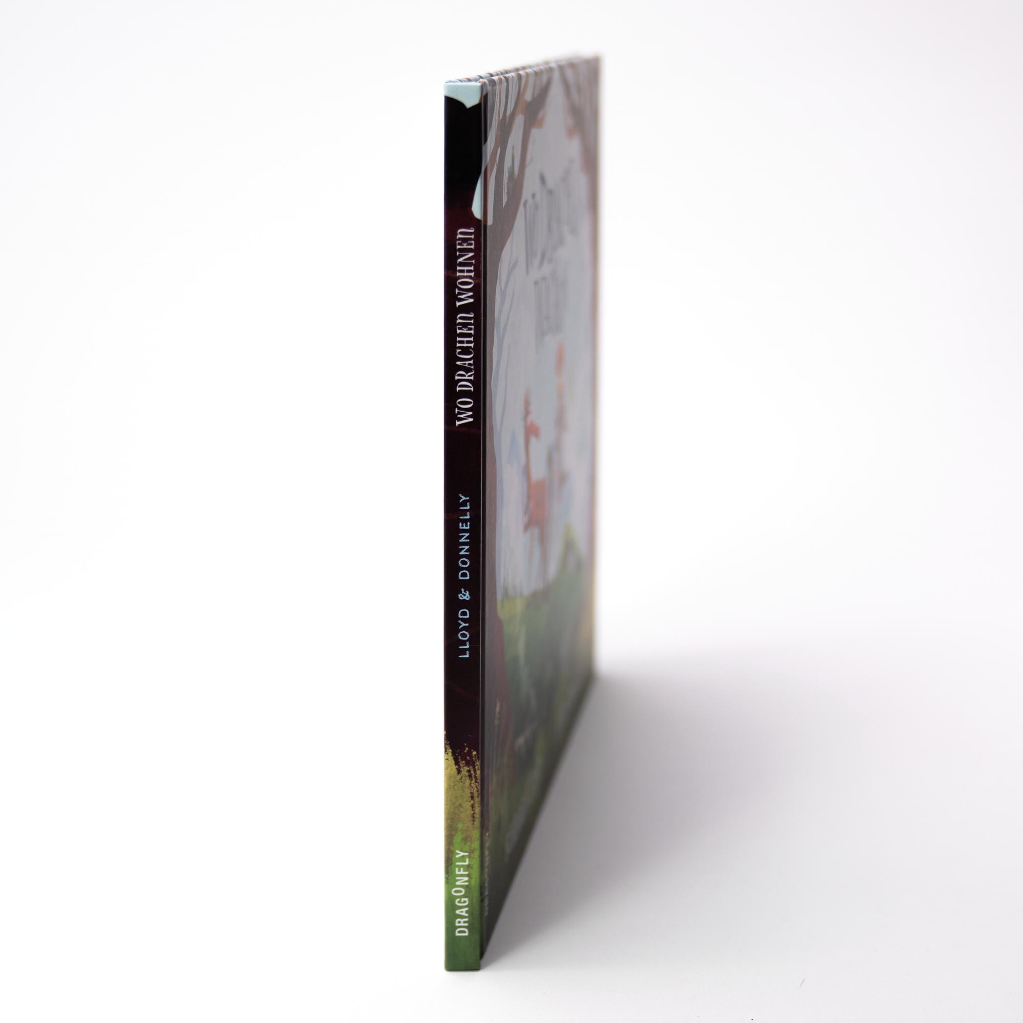 Beispielinhalt (Bild) Wo Drachen wachen