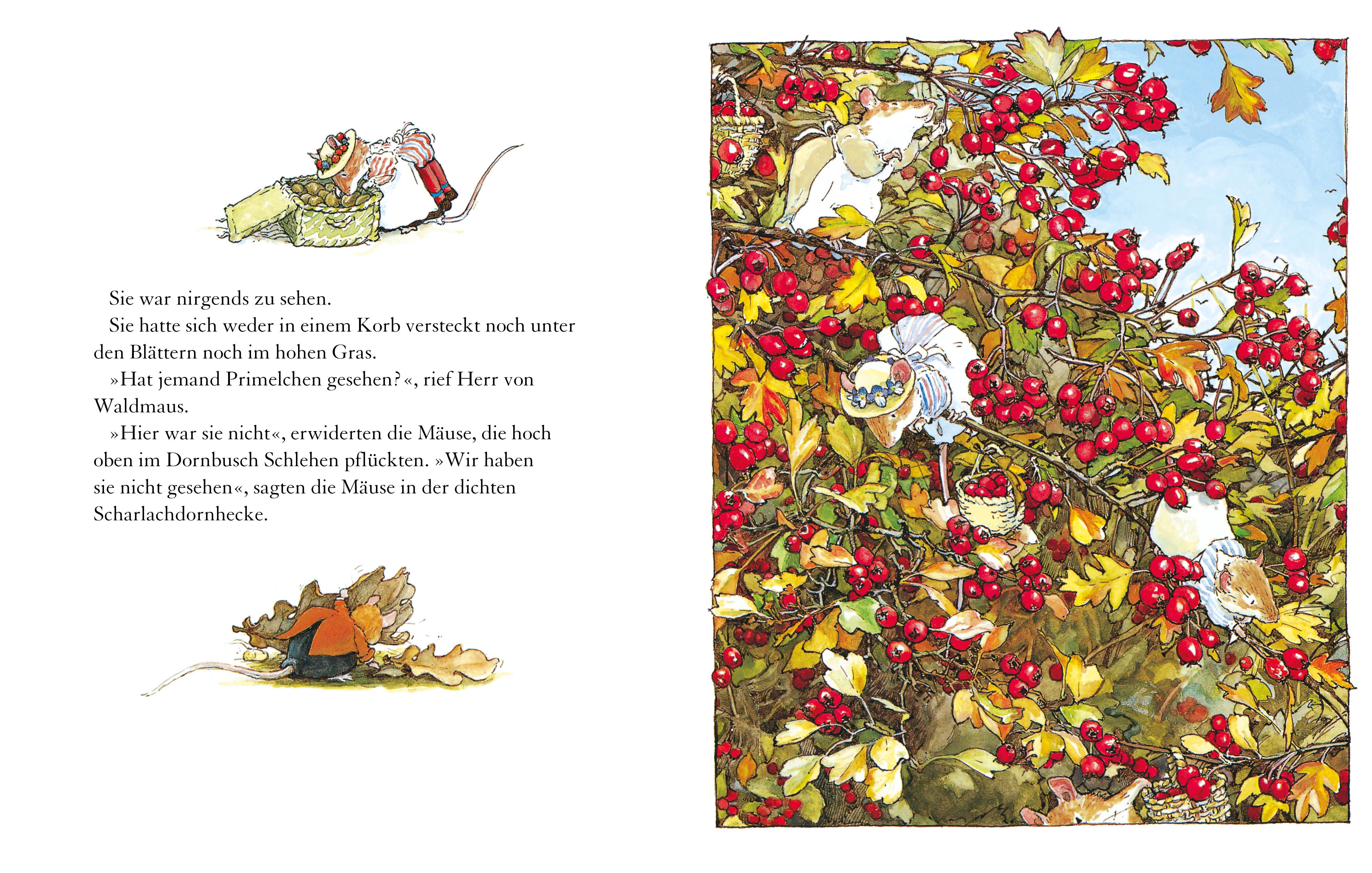 Beispielinhalt (Bild) Brombeerhag im Herbst