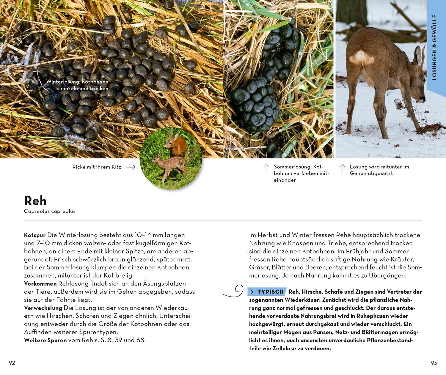 Beispielinhalt (Bild) BASIC Tierspuren