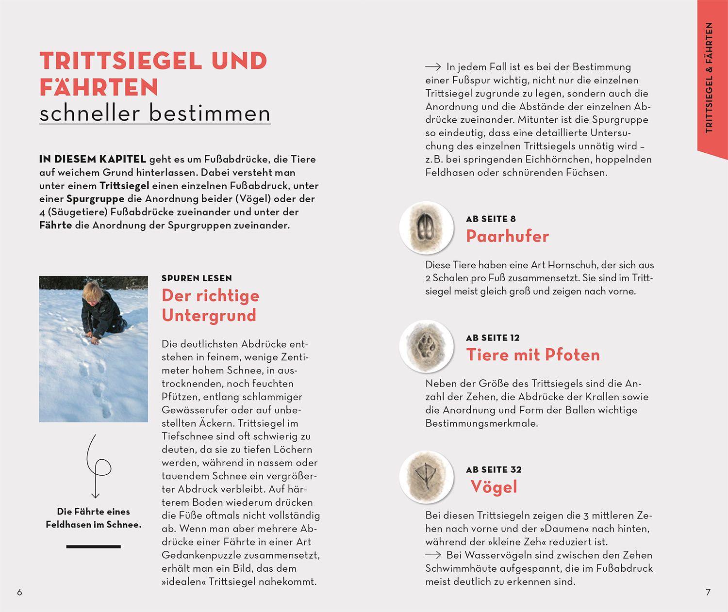 Beispielinhalt (Bild) BASIC Tierspuren